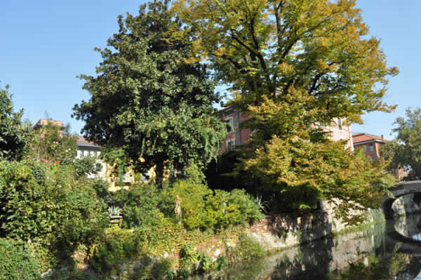 Municipio. Parco